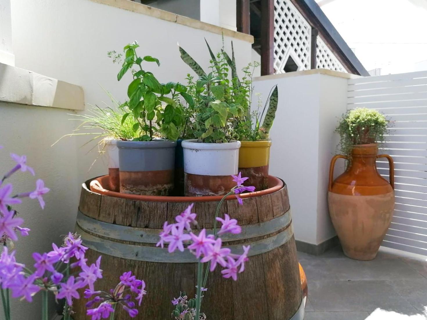 Casa Flora - Bed And Breakfast Torre San Giovanni Ugento Esterno foto