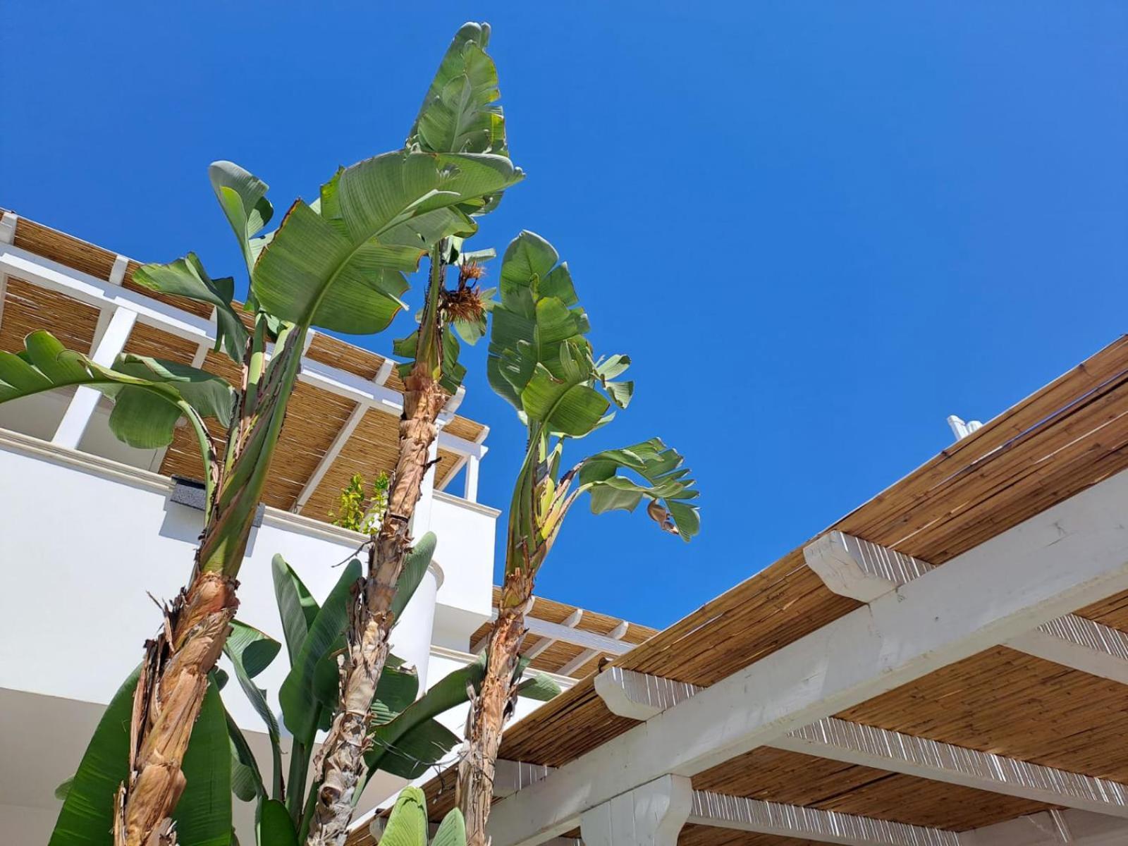 Casa Flora - Bed And Breakfast Torre San Giovanni Ugento Esterno foto